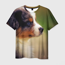 Мужская футболка 3D с принтом Aussi в Кировске, 100% полиэфир | прямой крой, круглый вырез горловины, длина до линии бедер | Тематика изображения на принте: австралийская овчарка | животные | пёс | собака | щенок