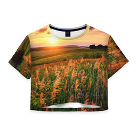 Женская футболка 3D укороченная с принтом Родные просторы в Кировске, 100% полиэстер | круглая горловина, длина футболки до линии талии, рукава с отворотами | sunrise | sunset | восход | деревня | закат | луг | небо | облака | поле | природа | солнце | цветы