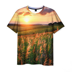 Мужская футболка 3D с принтом Родные просторы в Кировске, 100% полиэфир | прямой крой, круглый вырез горловины, длина до линии бедер | Тематика изображения на принте: sunrise | sunset | восход | деревня | закат | луг | небо | облака | поле | природа | солнце | цветы