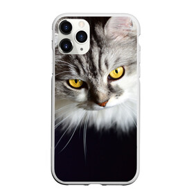 Чехол для iPhone 11 Pro матовый с принтом Жёлтые глаза в Кировске, Силикон |  | взгляд | глаза | голова животного | киска | кот | котёнок | кошка | прикольные картинки