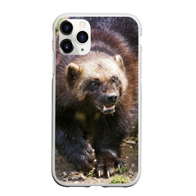 Чехол для iPhone 11 Pro матовый с принтом Росомаха в Кировске, Силикон |  | животные | лес | медведи | охота | природа | туризм