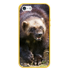 Чехол для iPhone 5/5S матовый с принтом Росомаха в Кировске, Силикон | Область печати: задняя сторона чехла, без боковых панелей | животные | лес | медведи | охота | природа | туризм