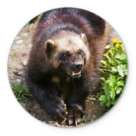 Коврик круглый с принтом Росомаха в Кировске, резина и полиэстер | круглая форма, изображение наносится на всю лицевую часть | животные | лес | медведи | охота | природа | туризм