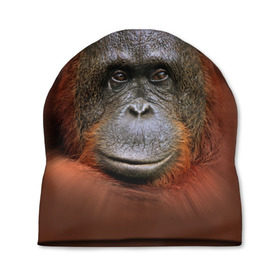 Шапка 3D с принтом Обезьяна в Кировске, 100% полиэстер | универсальный размер, печать по всей поверхности изделия | животные | о.м.с.к. | обезьяна | орангутанг