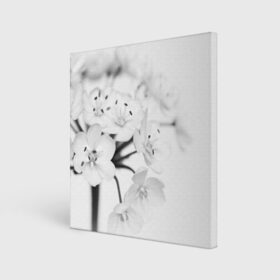 Холст квадратный с принтом Белые цветочки 5 в Кировске, 100% ПВХ |  | белый | цветок | цветы