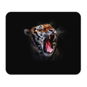 Коврик прямоугольный с принтом Оскал тигра в Кировске, натуральный каучук | размер 230 х 185 мм; запечатка лицевой стороны | Тематика изображения на принте: дикая кошка | пасть | тигр | хищник