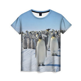 Женская футболка 3D с принтом Пингвины в Кировске, 100% полиэфир ( синтетическое хлопкоподобное полотно) | прямой крой, круглый вырез горловины, длина до линии бедер | пингвин
