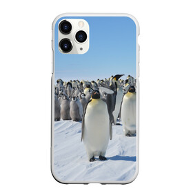 Чехол для iPhone 11 Pro Max матовый с принтом Пингвины в Кировске, Силикон |  | пингвин