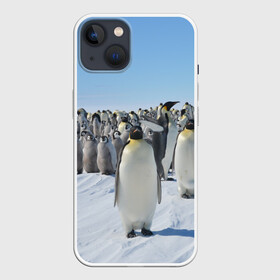 Чехол для iPhone 13 с принтом Пингвины в Кировске,  |  | пингвин