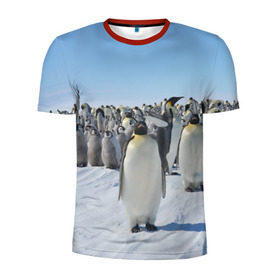 Мужская футболка 3D спортивная с принтом Пингвины в Кировске, 100% полиэстер с улучшенными характеристиками | приталенный силуэт, круглая горловина, широкие плечи, сужается к линии бедра | пингвин