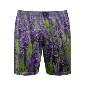 Мужские шорты 3D спортивные с принтом Лаванда в Кировске,  |  | зеленый | зелень | лаванда | лето | поле | природа | синий | цветы