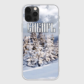 Чехол для iPhone 12 Pro Max с принтом Сибирь в Кировске, Силикон |  | ель | лес | небо | облака | природа | снег | сосна | сугробы | тайга | хвоя