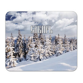 Коврик прямоугольный с принтом Сибирь в Кировске, натуральный каучук | размер 230 х 185 мм; запечатка лицевой стороны | Тематика изображения на принте: ель | лес | небо | облака | природа | снег | сосна | сугробы | тайга | хвоя