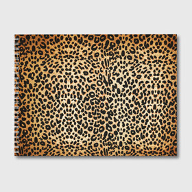 Альбом для рисования с принтом Гепард (шкура) в Кировске, 100% бумага
 | матовая бумага, плотность 200 мг. | гепард | гламур | леопард | мода | пятна | роскошь | ткань | точки | шерсть