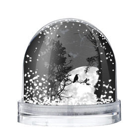 Снежный шар с принтом Черный ворон в Кировске, Пластик | Изображение внутри шара печатается на глянцевой фотобумаге с двух сторон | ворон | луна | новинки | ночь | полнолуние | природа | птица