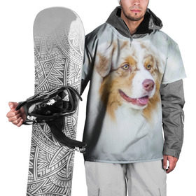 Накидка на куртку 3D с принтом Австралийская овчарка в Кировске, 100% полиэстер |  | Тематика изображения на принте: австралийская овчарка | животные | природа | собака | щенок