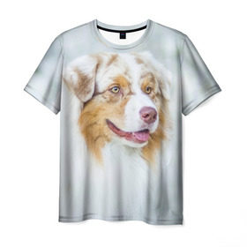 Мужская футболка 3D с принтом Австралийская овчарка в Кировске, 100% полиэфир | прямой крой, круглый вырез горловины, длина до линии бедер | австралийская овчарка | животные | природа | собака | щенок