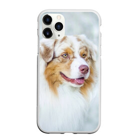 Чехол для iPhone 11 Pro Max матовый с принтом Австралийская овчарка в Кировске, Силикон |  | австралийская овчарка | животные | природа | собака | щенок