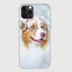 Чехол для iPhone 12 Pro Max с принтом Австралийская овчарка в Кировске, Силикон |  | австралийская овчарка | животные | природа | собака | щенок