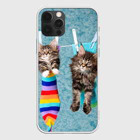 Чехол для iPhone 12 Pro с принтом Мейн-кун 1 в Кировске, силикон | область печати: задняя сторона чехла, без боковых панелей | кот | котенок | котик | котэ | кошка | мейн кун | мейнкун | мэйн кун | мэйнкун
