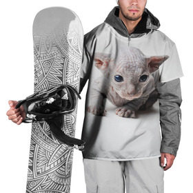Накидка на куртку 3D с принтом Сфинкс 1 в Кировске, 100% полиэстер |  | кот | котенок | котик | котэ | кошка | сфинкс