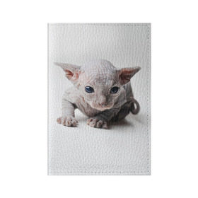 Обложка для паспорта матовая кожа с принтом Сфинкс 1 в Кировске, натуральная матовая кожа | размер 19,3 х 13,7 см; прозрачные пластиковые крепления | Тематика изображения на принте: кот | котенок | котик | котэ | кошка | сфинкс