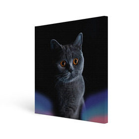 Холст квадратный с принтом Британец 1 в Кировске, 100% ПВХ |  | Тематика изображения на принте: британец | британская | британцы | кот | котенок | котик | котэ | кошка