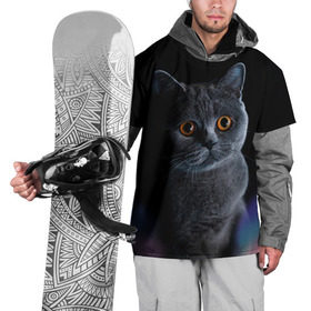 Накидка на куртку 3D с принтом Британец 1 в Кировске, 100% полиэстер |  | Тематика изображения на принте: британец | британская | британцы | кот | котенок | котик | котэ | кошка