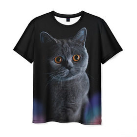 Мужская футболка 3D с принтом Британец 1 в Кировске, 100% полиэфир | прямой крой, круглый вырез горловины, длина до линии бедер | британец | британская | британцы | кот | котенок | котик | котэ | кошка