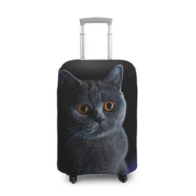 Чехол для чемодана 3D с принтом Британец 1 в Кировске, 86% полиэфир, 14% спандекс | двустороннее нанесение принта, прорези для ручек и колес | британец | британская | британцы | кот | котенок | котик | котэ | кошка