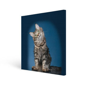 Холст квадратный с принтом Мейн-кун 2 в Кировске, 100% ПВХ |  | кот | котенок | котик | котэ | кошка | мейн кун | мейнкун | мэйн кун | мэйнкун
