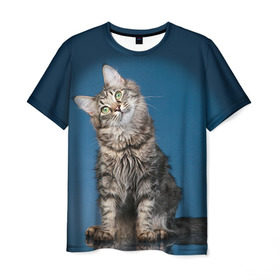 Мужская футболка 3D с принтом Мейн-кун 2 в Кировске, 100% полиэфир | прямой крой, круглый вырез горловины, длина до линии бедер | кот | котенок | котик | котэ | кошка | мейн кун | мейнкун | мэйн кун | мэйнкун