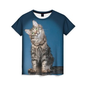 Женская футболка 3D с принтом Мейн-кун 2 в Кировске, 100% полиэфир ( синтетическое хлопкоподобное полотно) | прямой крой, круглый вырез горловины, длина до линии бедер | кот | котенок | котик | котэ | кошка | мейн кун | мейнкун | мэйн кун | мэйнкун
