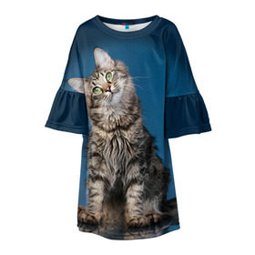 Детское платье 3D с принтом Мейн-кун 2 в Кировске, 100% полиэстер | прямой силуэт, чуть расширенный к низу. Круглая горловина, на рукавах — воланы | кот | котенок | котик | котэ | кошка | мейн кун | мейнкун | мэйн кун | мэйнкун
