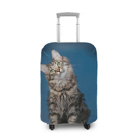 Чехол для чемодана 3D с принтом Мейн-кун 2 в Кировске, 86% полиэфир, 14% спандекс | двустороннее нанесение принта, прорези для ручек и колес | кот | котенок | котик | котэ | кошка | мейн кун | мейнкун | мэйн кун | мэйнкун