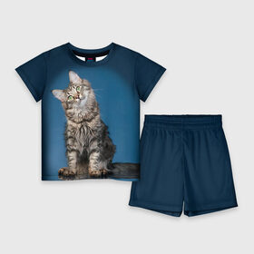 Детский костюм с шортами 3D с принтом Мейн кун 2 в Кировске,  |  | кот | котенок | котик | котэ | кошка | мейн кун | мейнкун | мэйн кун | мэйнкун