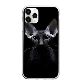Чехол для iPhone 11 Pro матовый с принтом Сфинкс 2 в Кировске, Силикон |  | Тематика изображения на принте: кот | котенок | котик | котэ | кошка | сфинкс