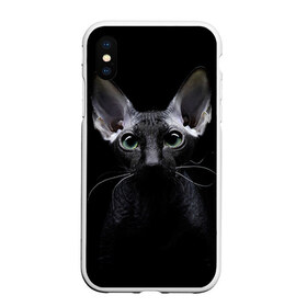 Чехол для iPhone XS Max матовый с принтом Сфинкс 2 в Кировске, Силикон | Область печати: задняя сторона чехла, без боковых панелей | кот | котенок | котик | котэ | кошка | сфинкс