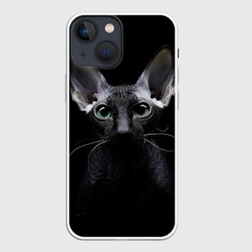 Чехол для iPhone 13 mini с принтом Сфинкс 2 в Кировске,  |  | кот | котенок | котик | котэ | кошка | сфинкс