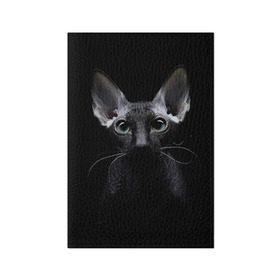 Обложка для паспорта матовая кожа с принтом Сфинкс 2 в Кировске, натуральная матовая кожа | размер 19,3 х 13,7 см; прозрачные пластиковые крепления | кот | котенок | котик | котэ | кошка | сфинкс