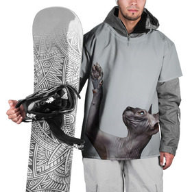 Накидка на куртку 3D с принтом Сфинкс 3 в Кировске, 100% полиэстер |  | Тематика изображения на принте: кот | котенок | котик | котэ | кошка | сфинкс