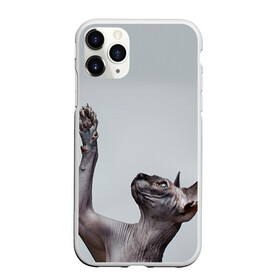 Чехол для iPhone 11 Pro матовый с принтом Сфинкс 3 в Кировске, Силикон |  | Тематика изображения на принте: кот | котенок | котик | котэ | кошка | сфинкс