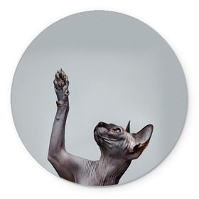 Коврик круглый с принтом Сфинкс 3 в Кировске, резина и полиэстер | круглая форма, изображение наносится на всю лицевую часть | Тематика изображения на принте: кот | котенок | котик | котэ | кошка | сфинкс