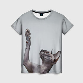 Женская футболка 3D с принтом Сфинкс 3 в Кировске, 100% полиэфир ( синтетическое хлопкоподобное полотно) | прямой крой, круглый вырез горловины, длина до линии бедер | кот | котенок | котик | котэ | кошка | сфинкс