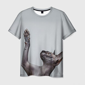 Мужская футболка 3D с принтом Сфинкс 3 в Кировске, 100% полиэфир | прямой крой, круглый вырез горловины, длина до линии бедер | кот | котенок | котик | котэ | кошка | сфинкс