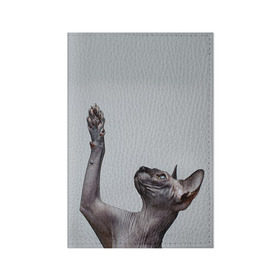 Обложка для паспорта матовая кожа с принтом Сфинкс 3 в Кировске, натуральная матовая кожа | размер 19,3 х 13,7 см; прозрачные пластиковые крепления | кот | котенок | котик | котэ | кошка | сфинкс