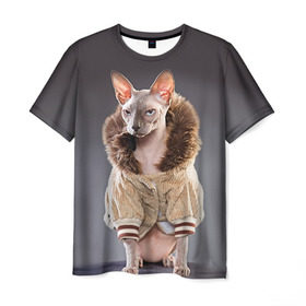 Мужская футболка 3D с принтом Сфинкс 4 в Кировске, 100% полиэфир | прямой крой, круглый вырез горловины, длина до линии бедер | кот | котенок | котик | котэ | кошка | сфинкс