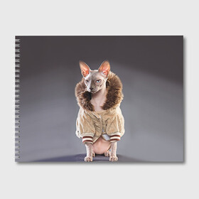 Альбом для рисования с принтом Сфинкс 4 в Кировске, 100% бумага
 | матовая бумага, плотность 200 мг. | Тематика изображения на принте: кот | котенок | котик | котэ | кошка | сфинкс
