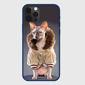 Чехол для iPhone 12 Pro с принтом Сфинкс 4 в Кировске, силикон | область печати: задняя сторона чехла, без боковых панелей | Тематика изображения на принте: кот | котенок | котик | котэ | кошка | сфинкс