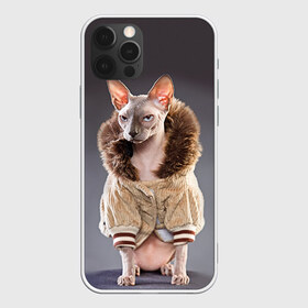 Чехол для iPhone 12 Pro Max с принтом Сфинкс 4 в Кировске, Силикон |  | Тематика изображения на принте: кот | котенок | котик | котэ | кошка | сфинкс